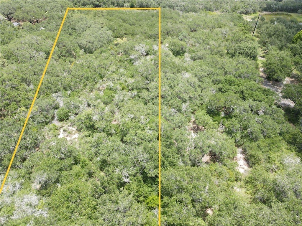 2.41 acres in San Patricio County - photo 2