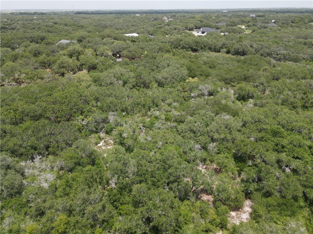 2.41 acres in San Patricio County - photo 5