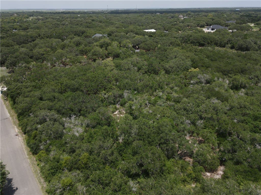 2.41 acres in San Patricio County - photo 6