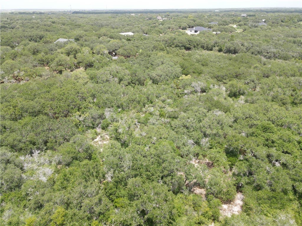 2.41 acres in San Patricio County - photo 4
