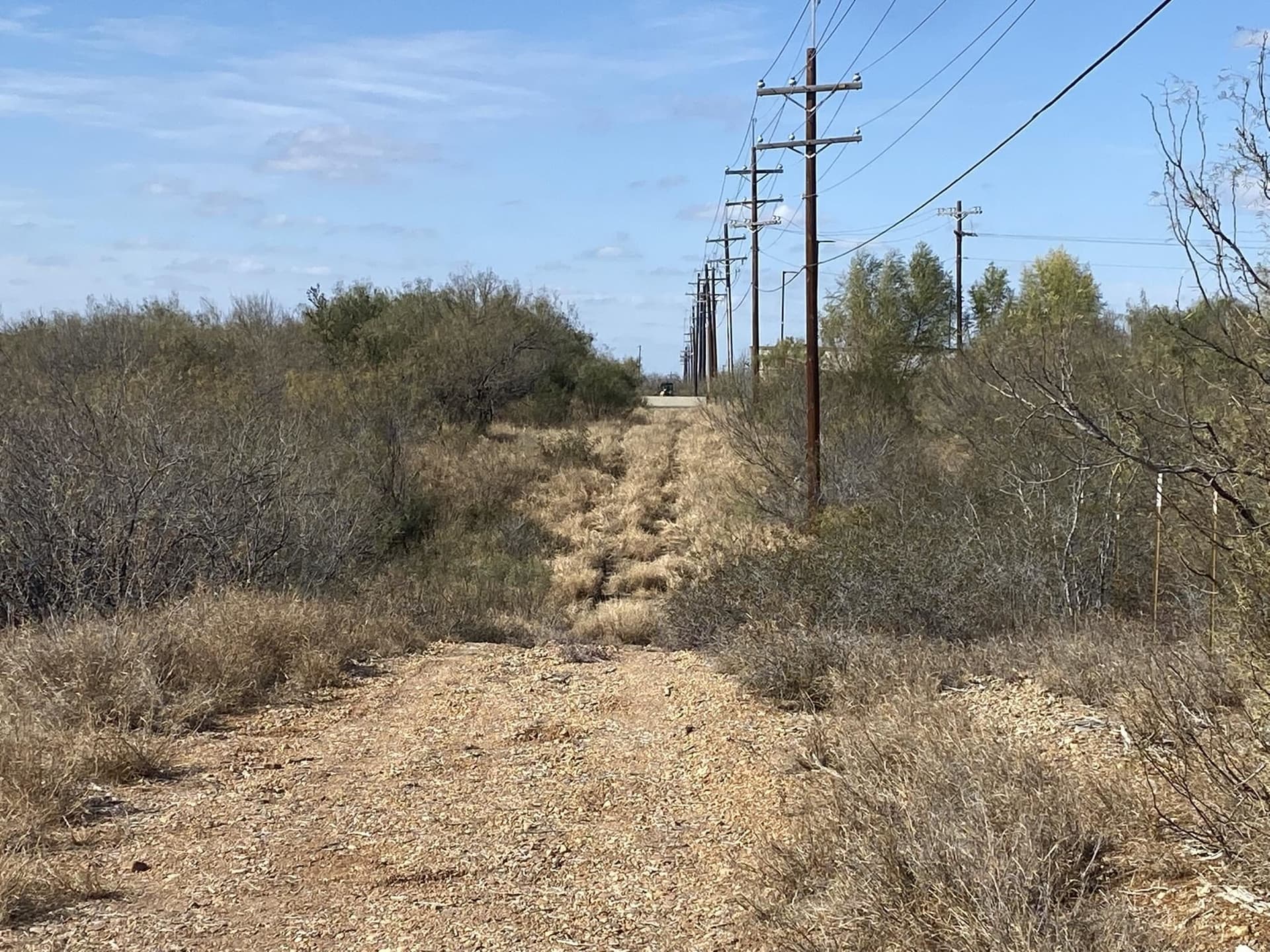 87.55 acres in Webb County - photo 9