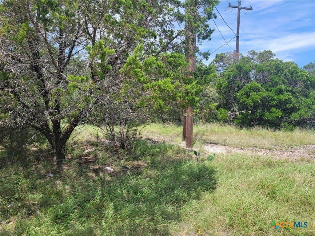 0.33 acres in Bell County - photo 3