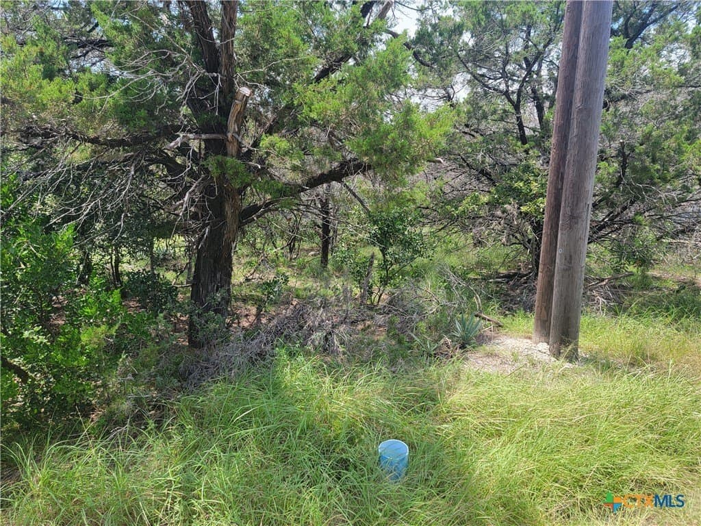 0.33 acres in Bell County - photo 5
