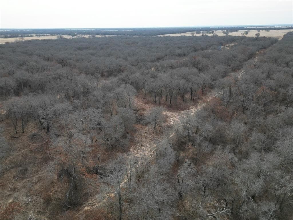 10.37 acres in Eastland County - photo 21