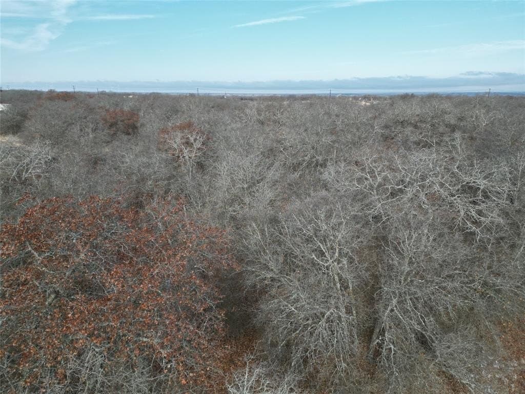 10.37 acres in Eastland County - photo 23