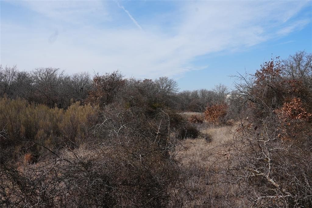 10.37 acres in Eastland County - photo 6
