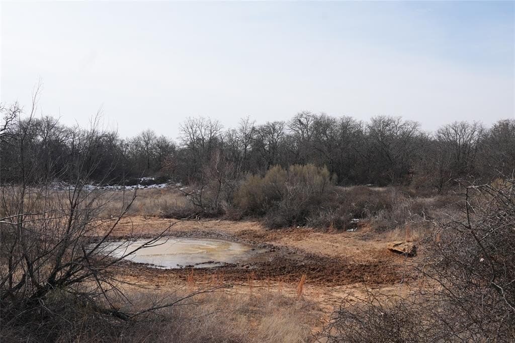 10.37 acres in Eastland County - photo 7
