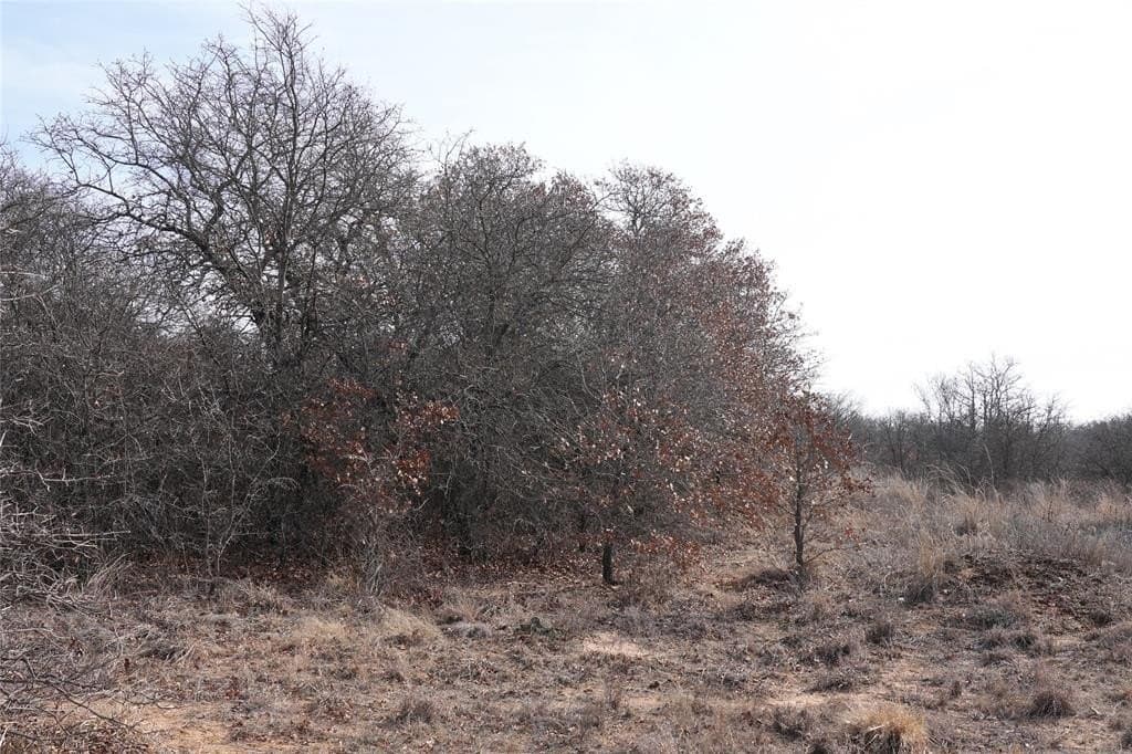 10.37 acres in Eastland County - photo 10