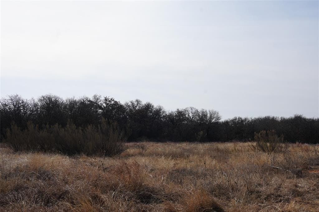 10.37 acres in Eastland County - photo 3