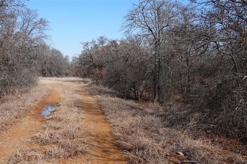 10.37 acres in Eastland County - photo 14