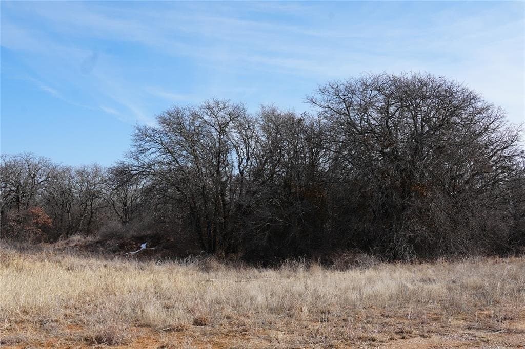 10.37 acres in Eastland County - photo 4