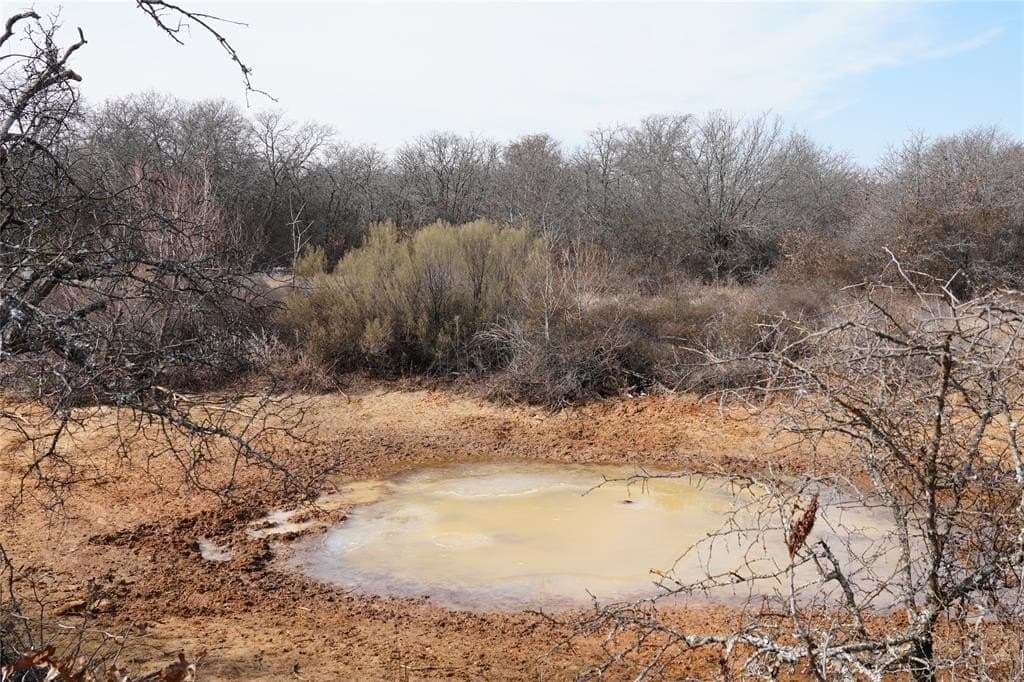10.37 acres in Eastland County - photo 2