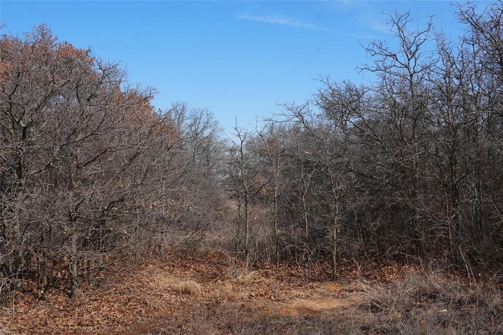 10.37 acres in Eastland County - photo 8