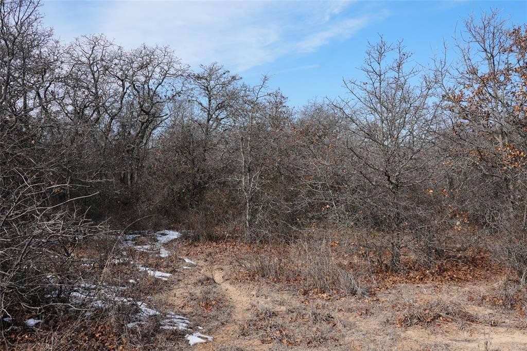 10.37 acres in Eastland County - photo 9
