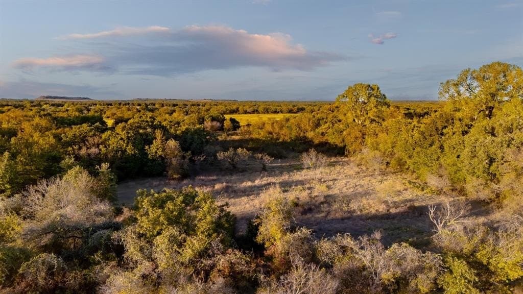 20 acres in Jack County - photo 7