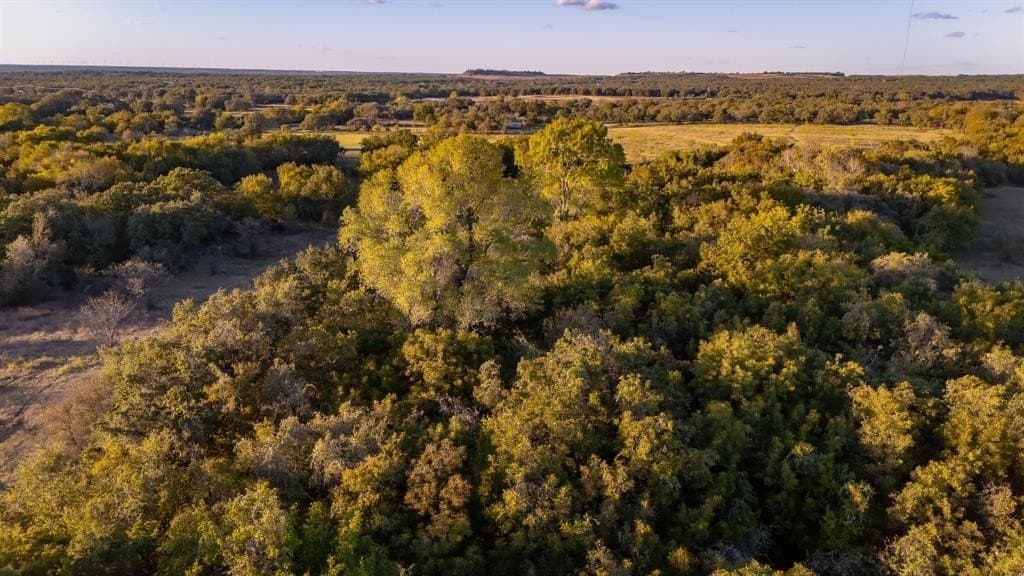 20 acres in Jack County - photo 8