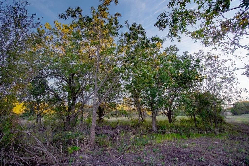 20 acres in Jack County - photo 22