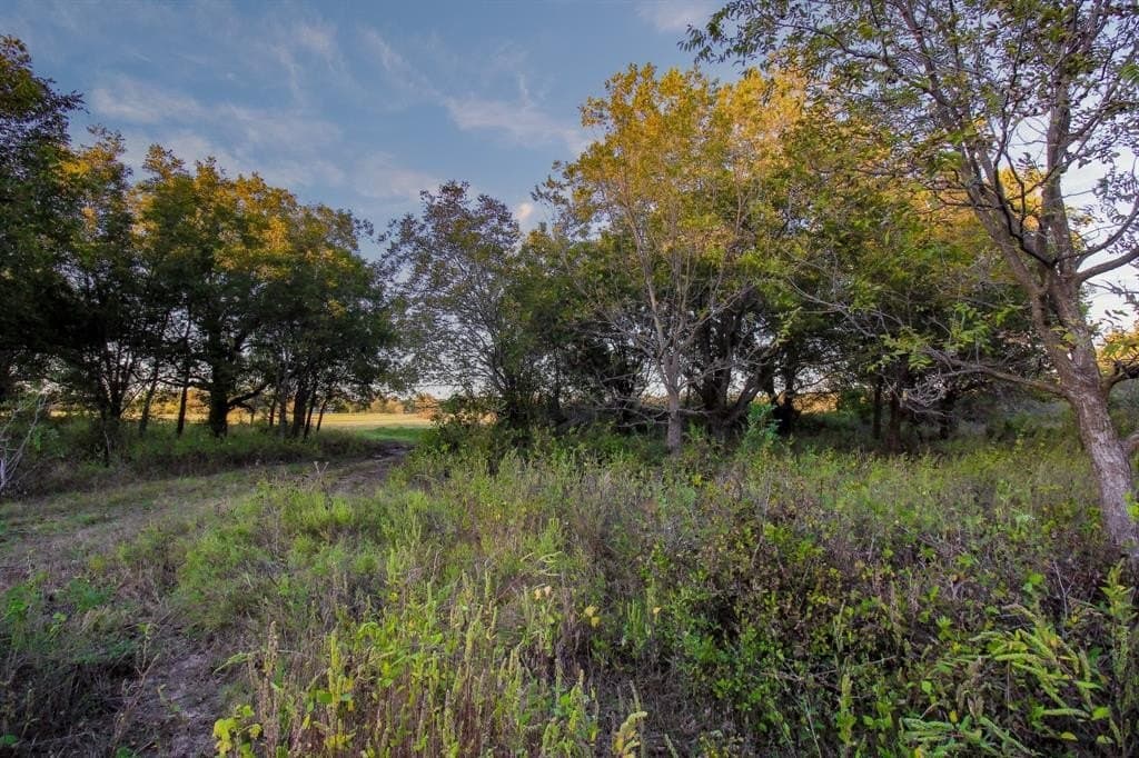 20 acres in Jack County - photo 10