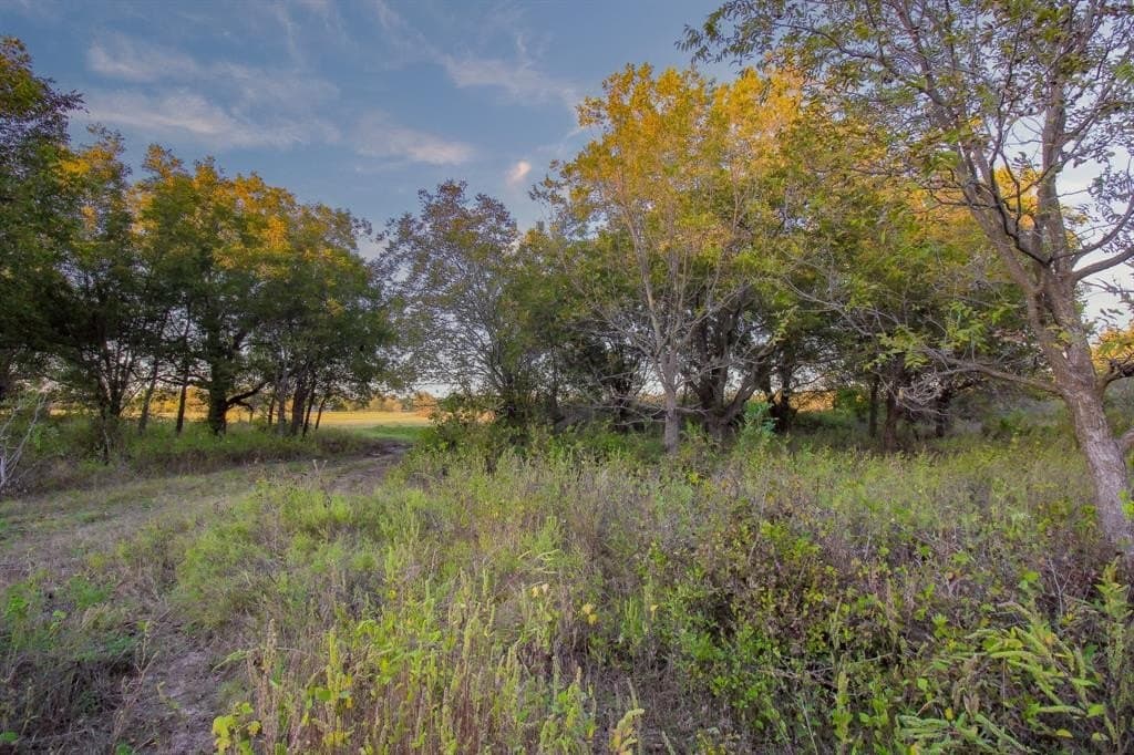 20 acres in Jack County - photo 23