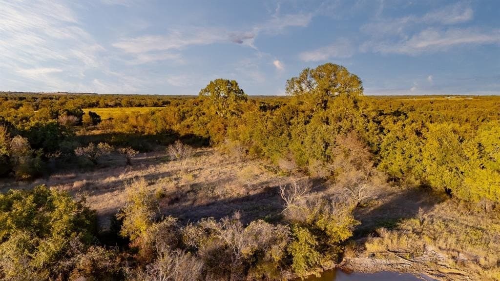 20 acres in Jack County - photo 9