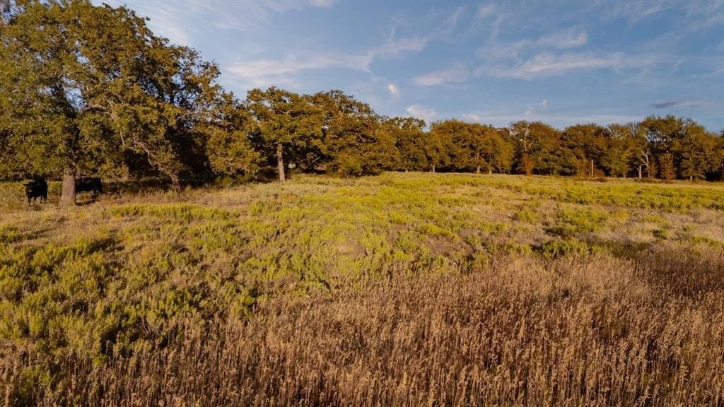 20 acres in Jack County - photo 3