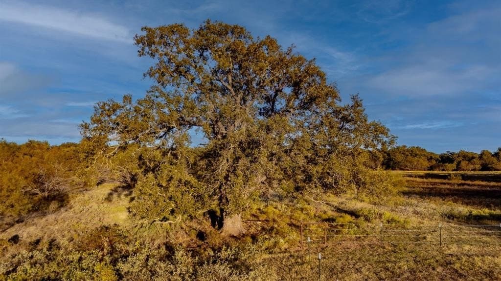 20 acres in Jack County - photo 14