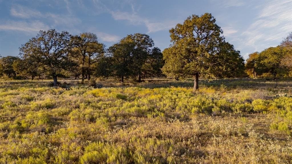 20 acres in Jack County - photo 2