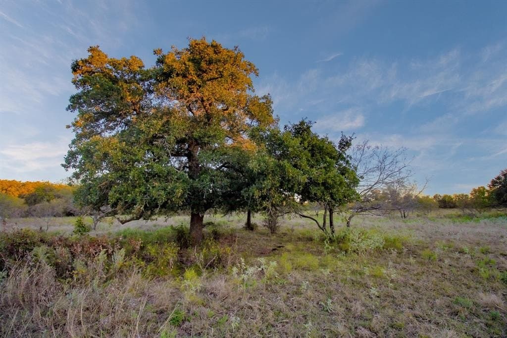20 acres in Jack County - photo 25