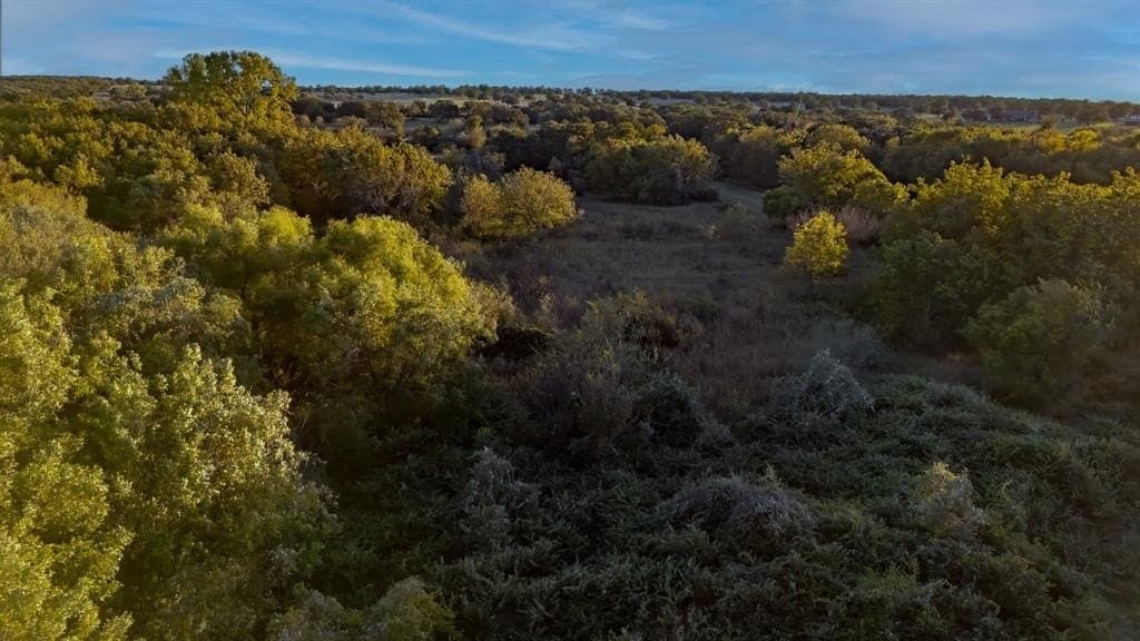 20 acres in Jack County - photo 16