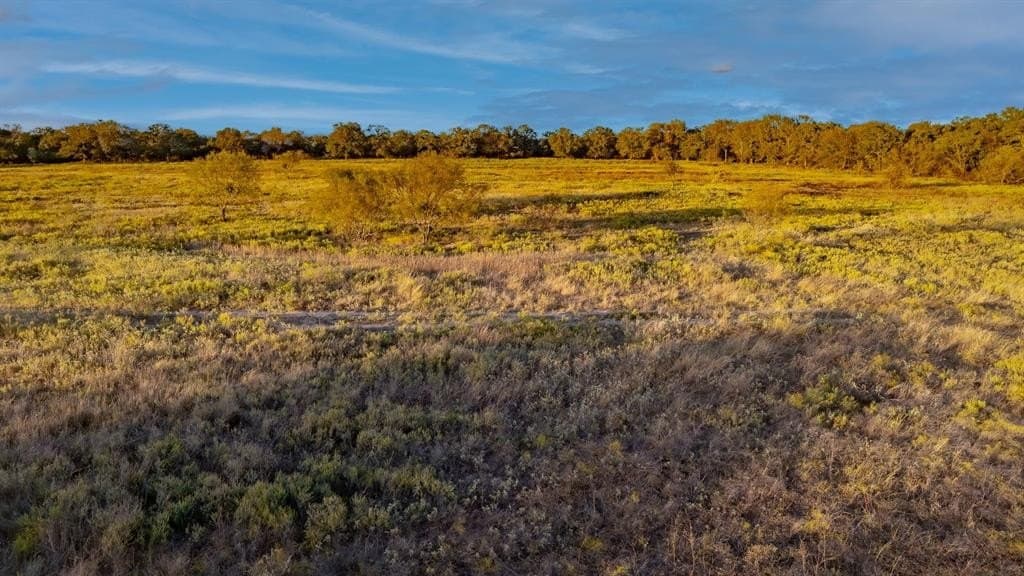 20 acres in Jack County - photo 18