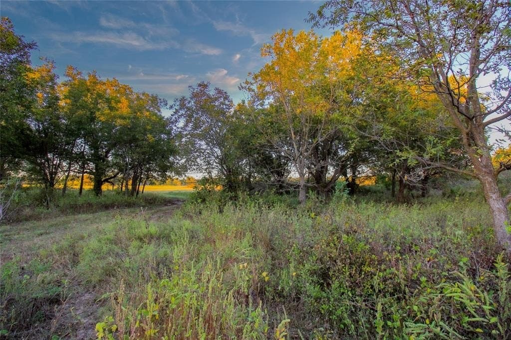 20 acres in Jack County - photo 24