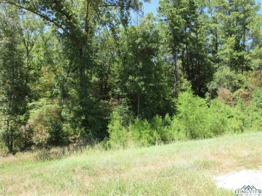 8.91 acres in Gregg County - photo 5