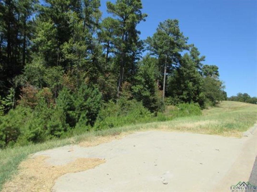 8.91 acres in Gregg County - photo 6