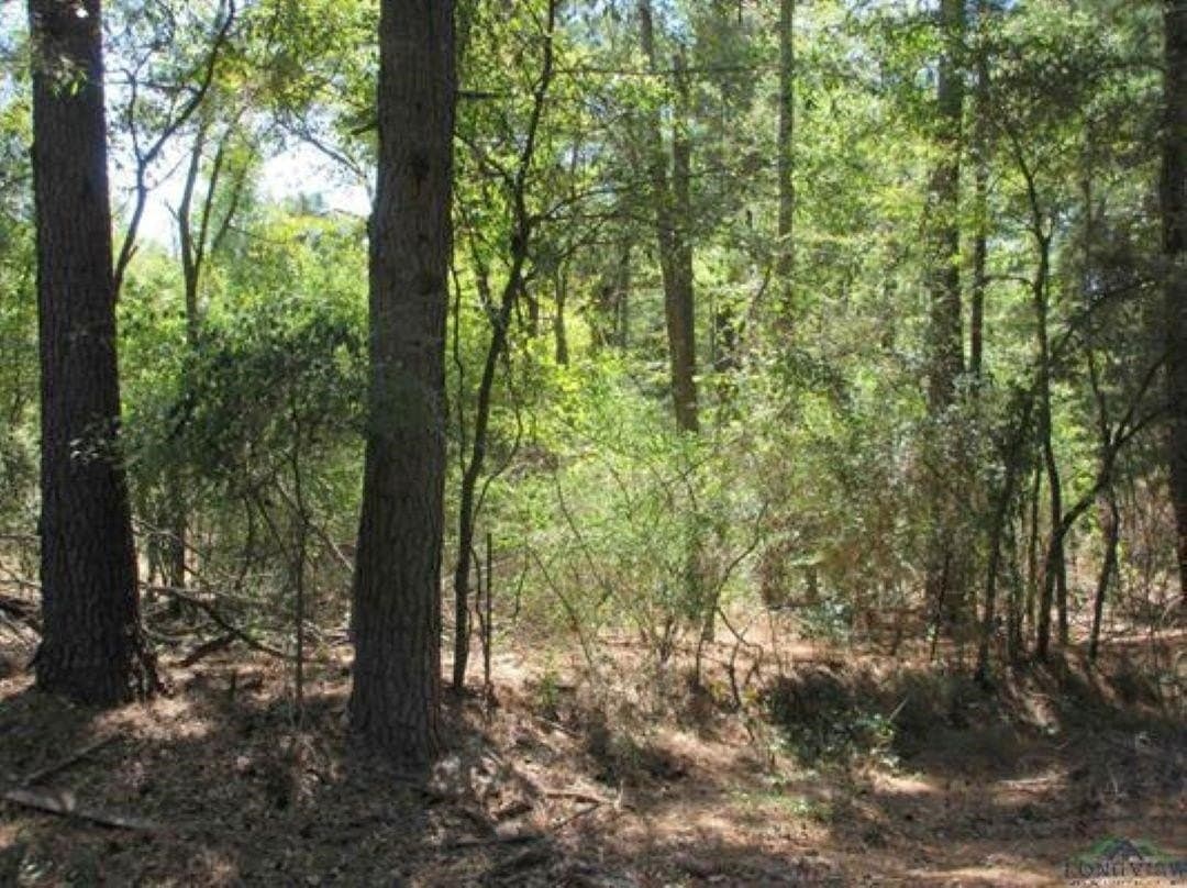 8.91 acres in Gregg County - photo 2