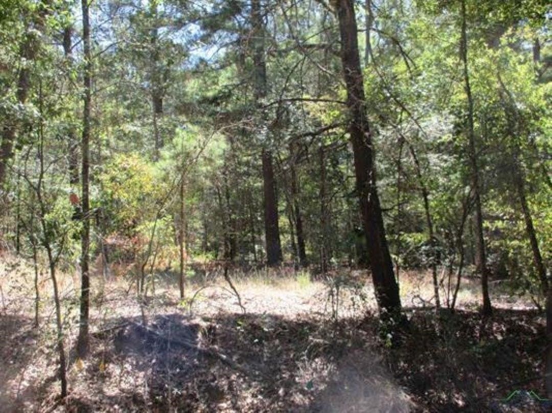 8.91 acres in Gregg County - photo 3