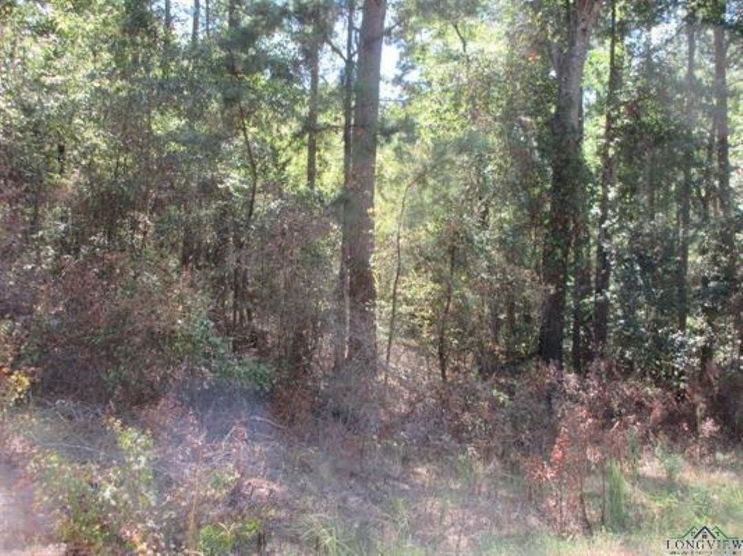 8.91 acres in Gregg County - photo 4