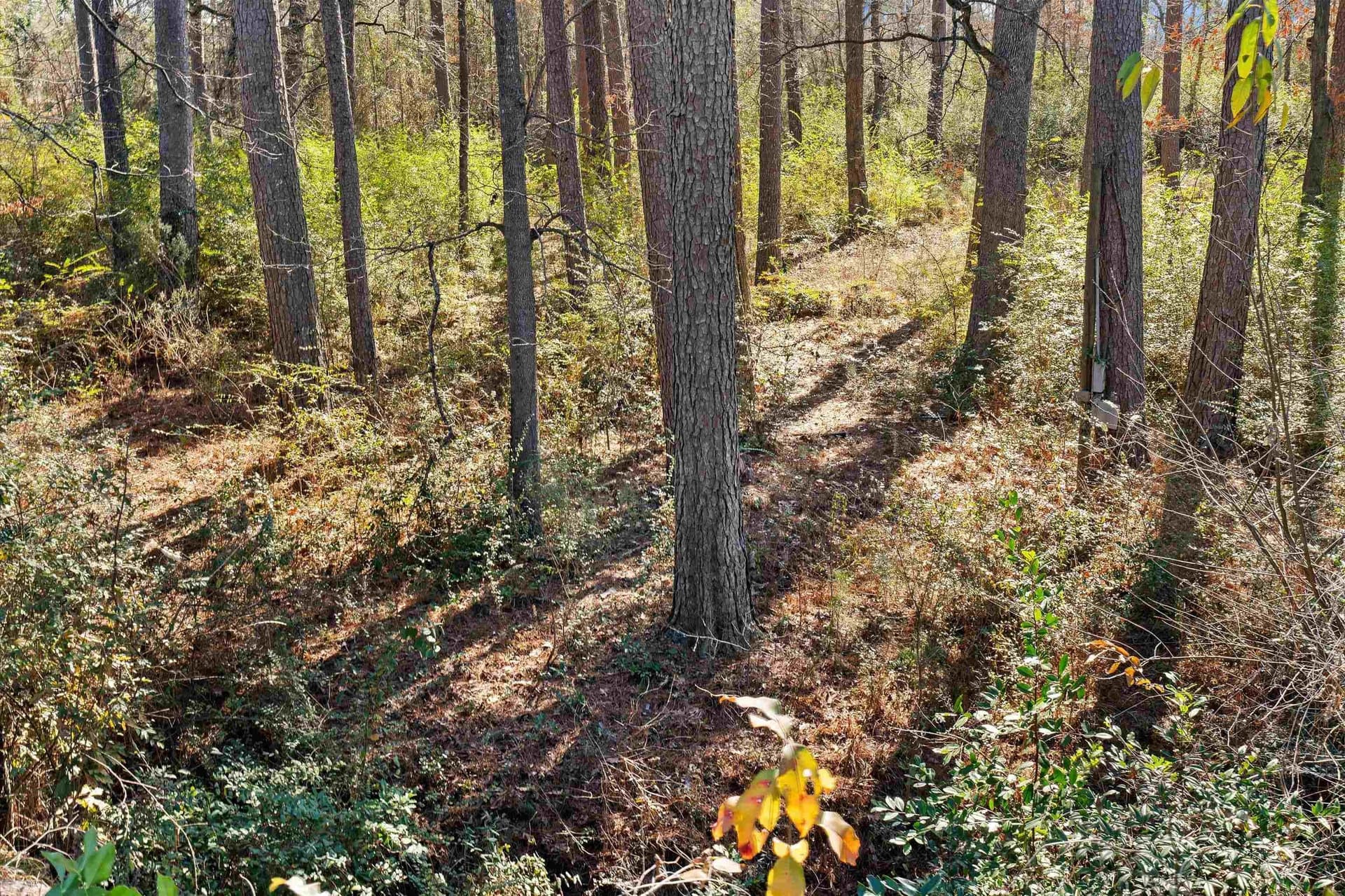 0.47 acres in Texas County - photo 19