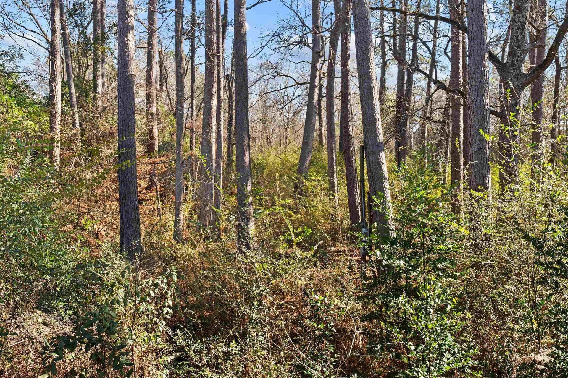 0.47 acres in Texas County - photo 18
