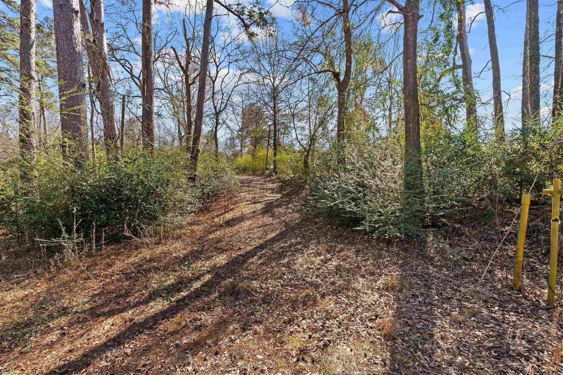 0.47 acres in Texas County - photo 2