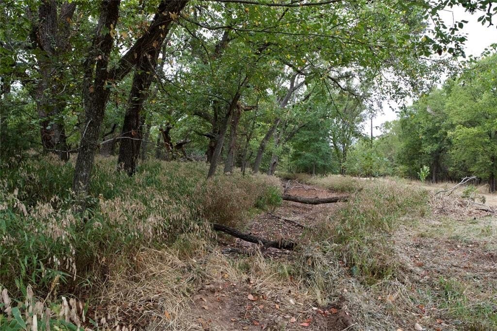 18.9 acres in Parker County - photo 23