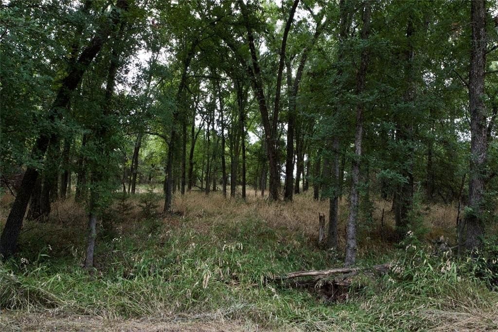 18.9 acres in Parker County - photo 24