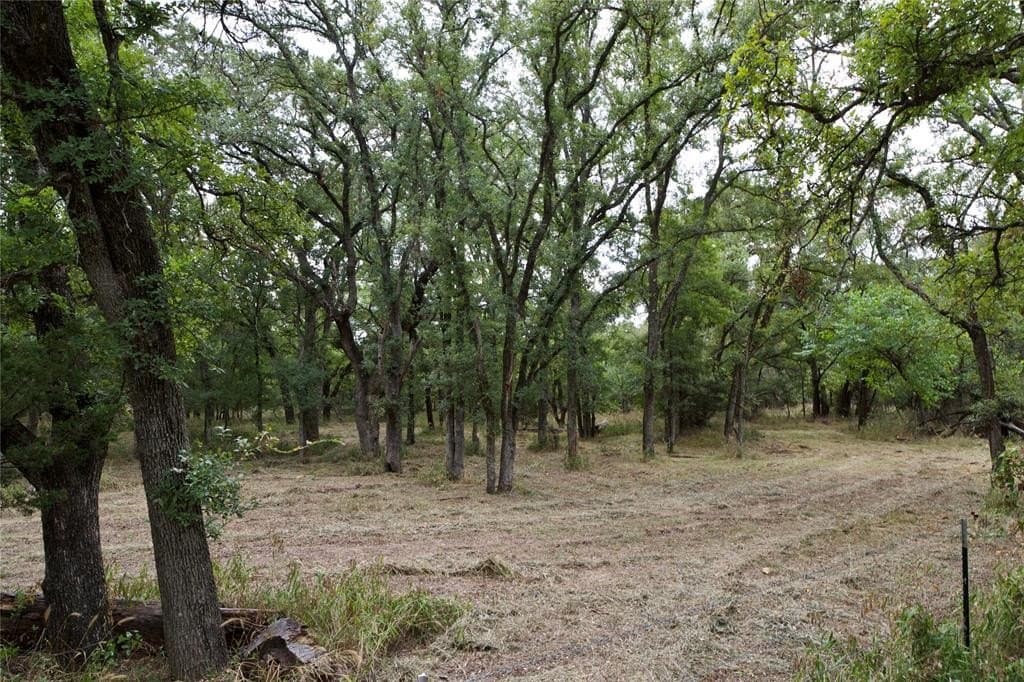 18.9 acres in Parker County - photo 5