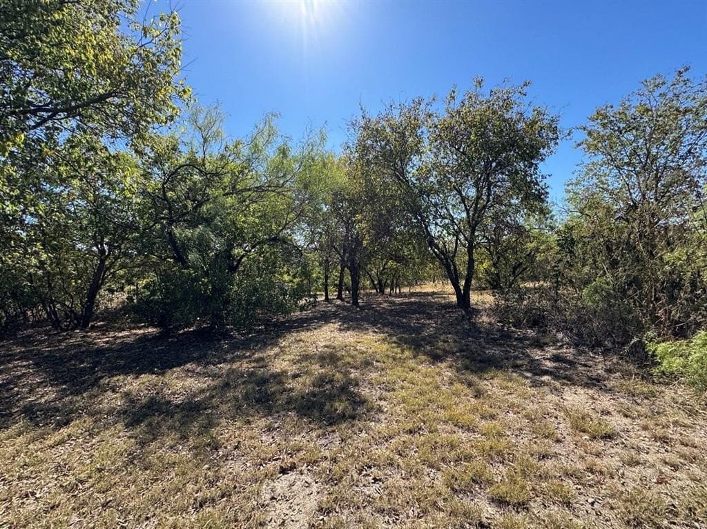 1.54 acres in Dallas County - photo 21