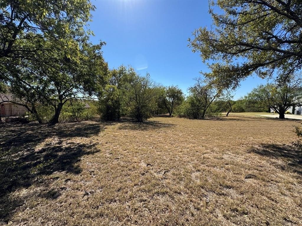 1.54 acres in Dallas County - photo 15