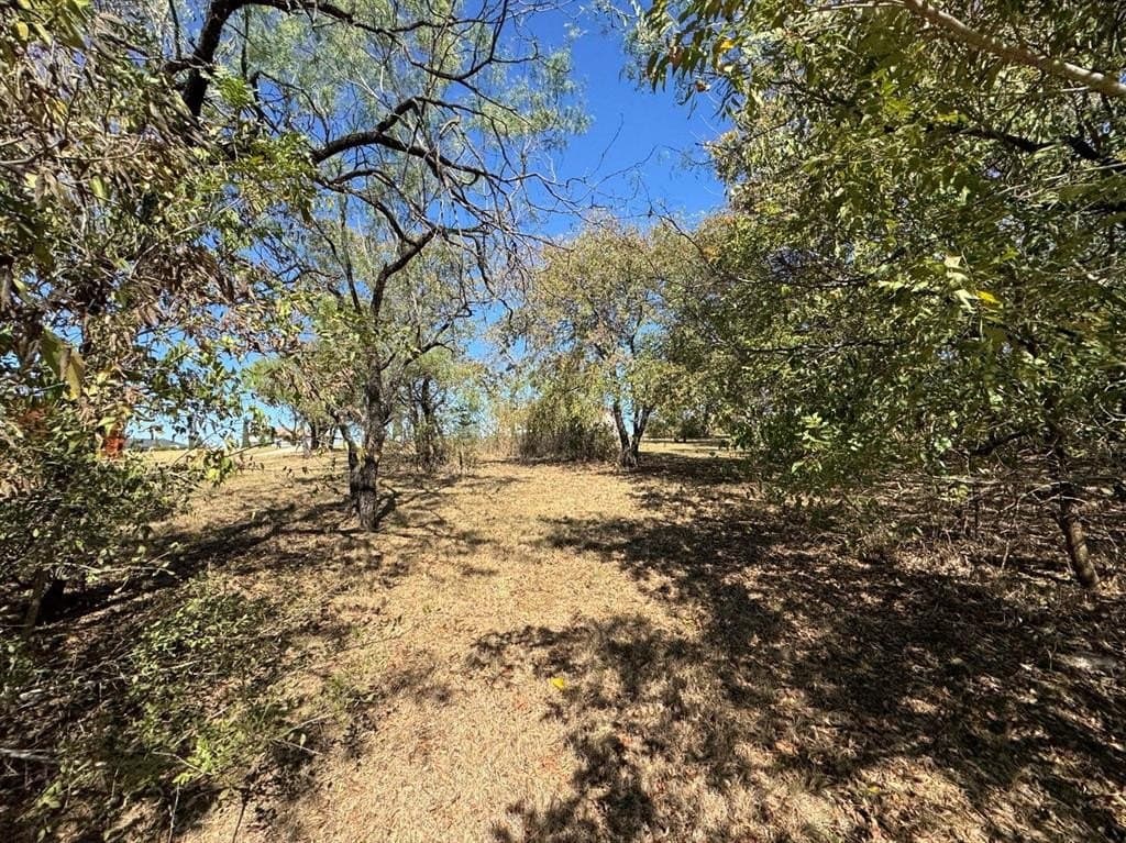 1.54 acres in Dallas County - photo 32
