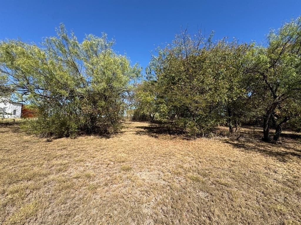1.54 acres in Dallas County - photo 31