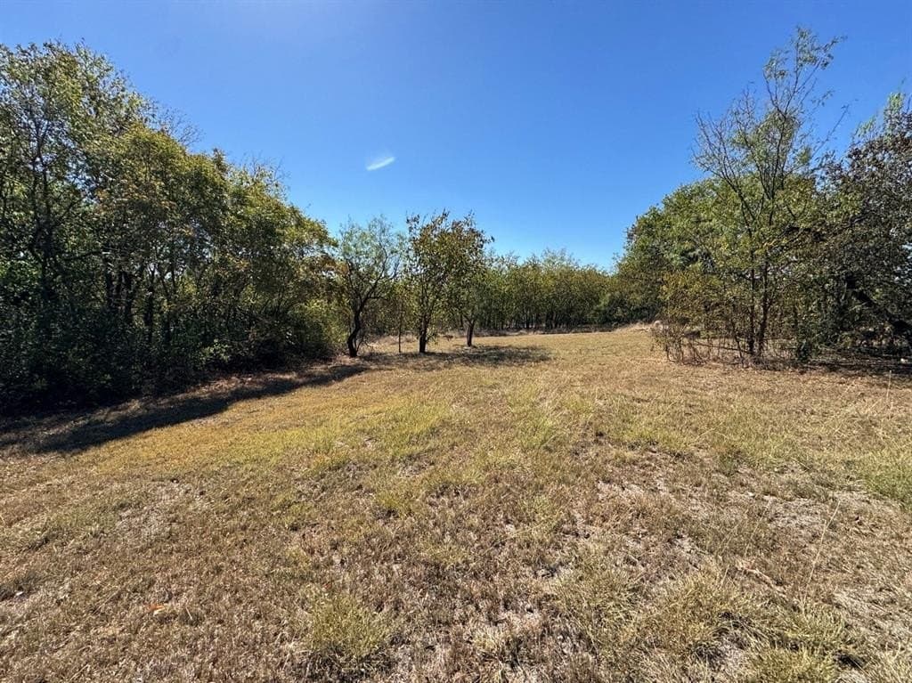 1.54 acres in Dallas County - photo 27