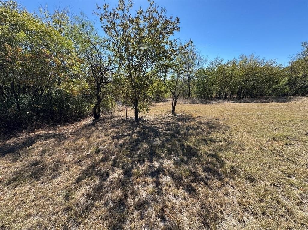1.54 acres in Dallas County - photo 28