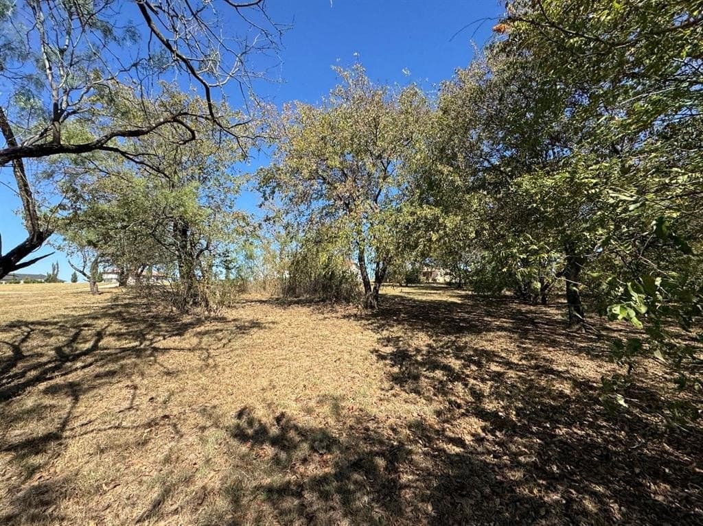 1.54 acres in Dallas County - photo 33