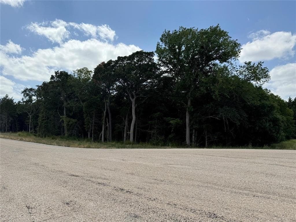 3 acres in Wise County - photo 15
